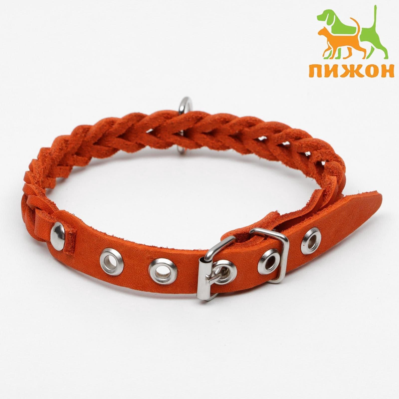 Ошейник кожаный плетеный для собаки, ОШ 20-30 см