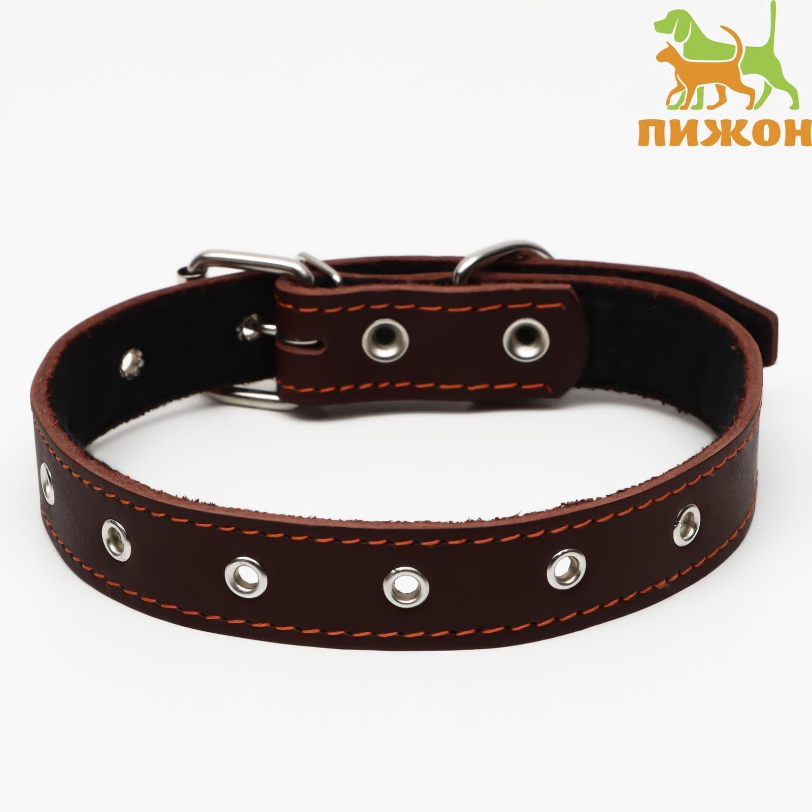 Кожаный ошейник для собаки, с подкладом, безразмерный, ОШ 22-55 см